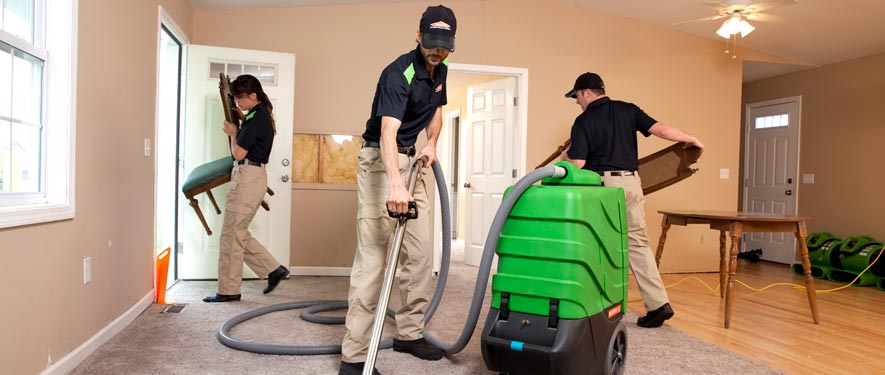 Faribault, MN cleaning services
